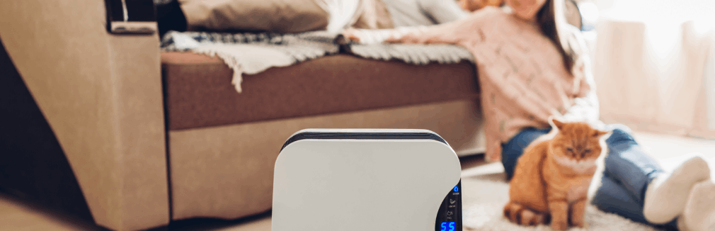 Casal na sala de estar, a utilizar um desumidificador para controlar humidade em casa.