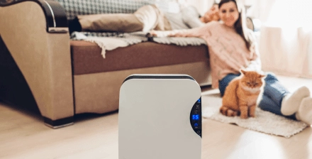 Casal na sala de estar, a utilizar um desumidificador para controlar humidade em casa.