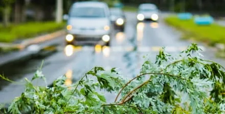 Um carro branco de faróis acesos passa por uma estrada com árvores caídas devido a ventos fortes.